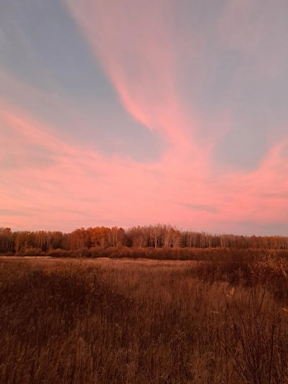 9374 Alango Road Angora, MN 55703