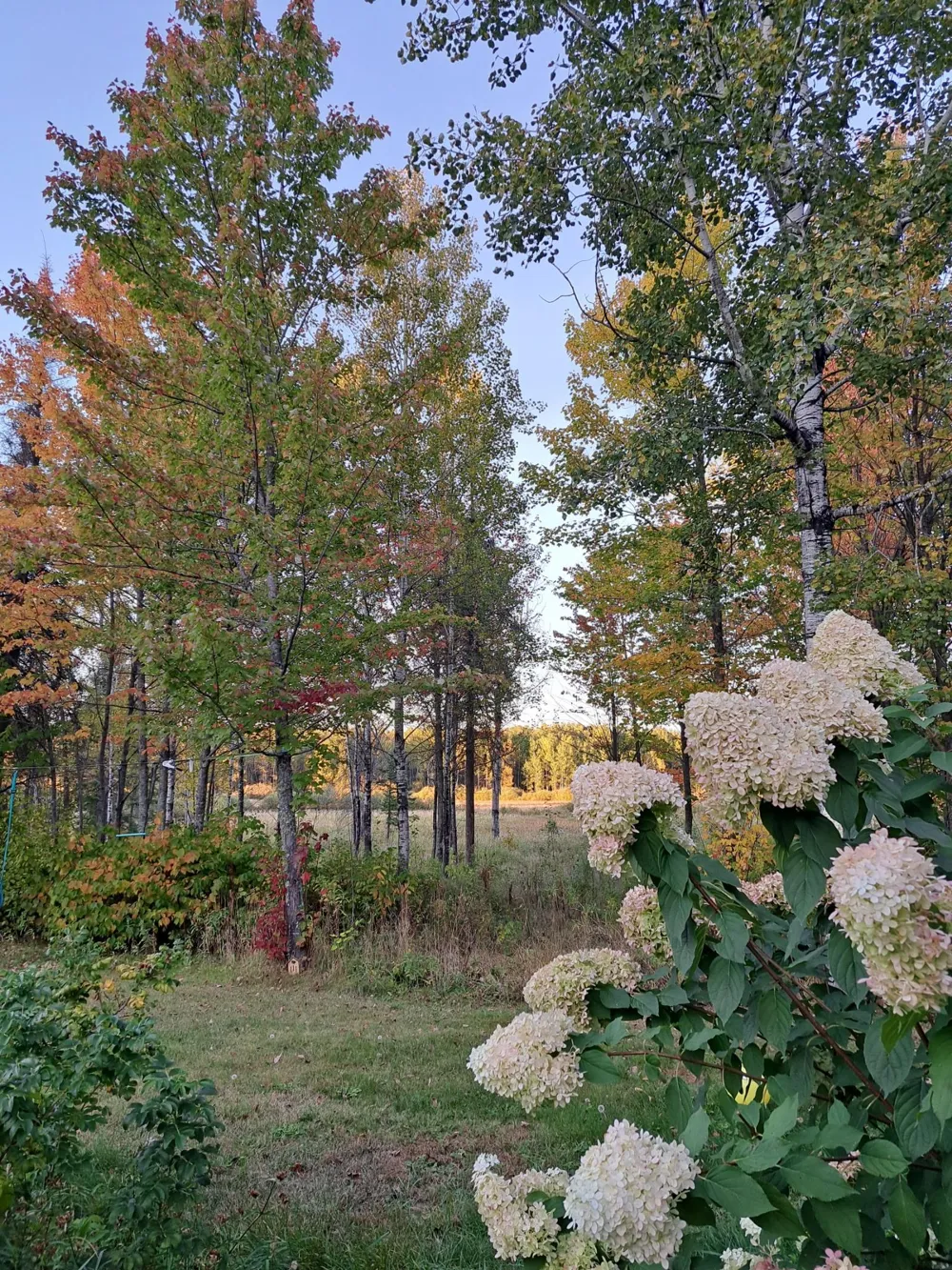 9374 Alango Road Angora, MN 55703