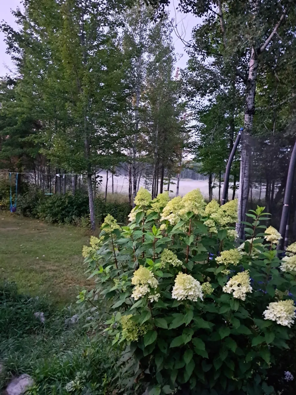 9374 Alango Road Angora, MN 55703