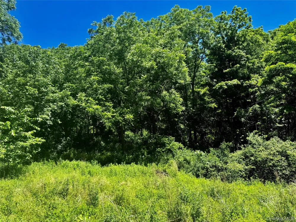 513 Rossway Road Pleasant Valley, NY 12569