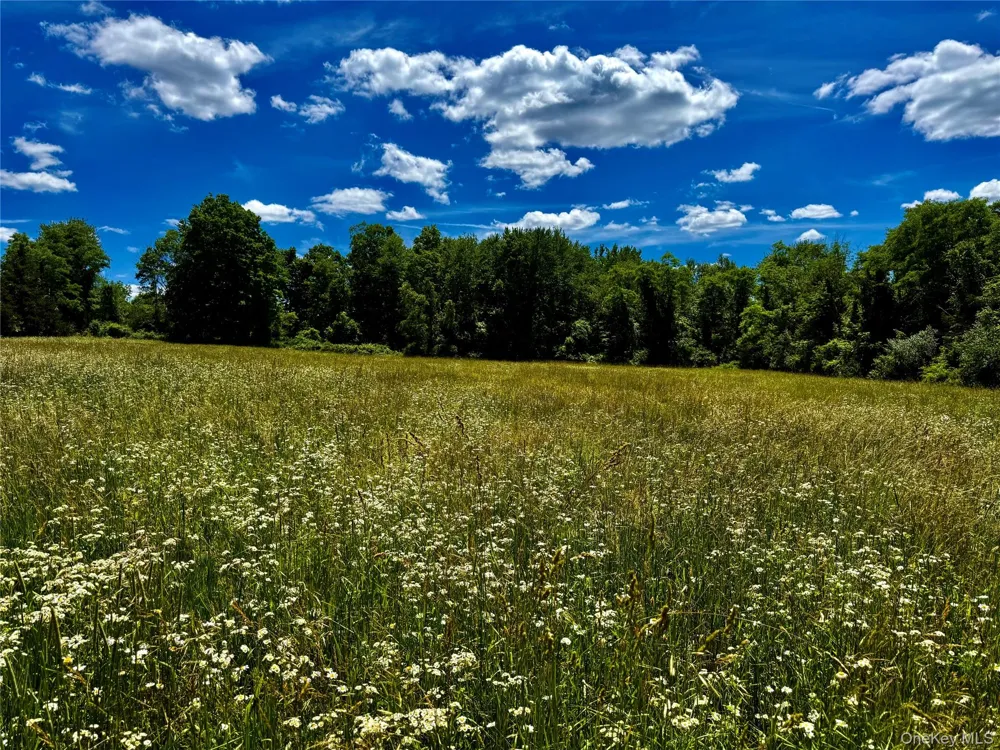 513 Rossway Road Pleasant Valley, NY 12569