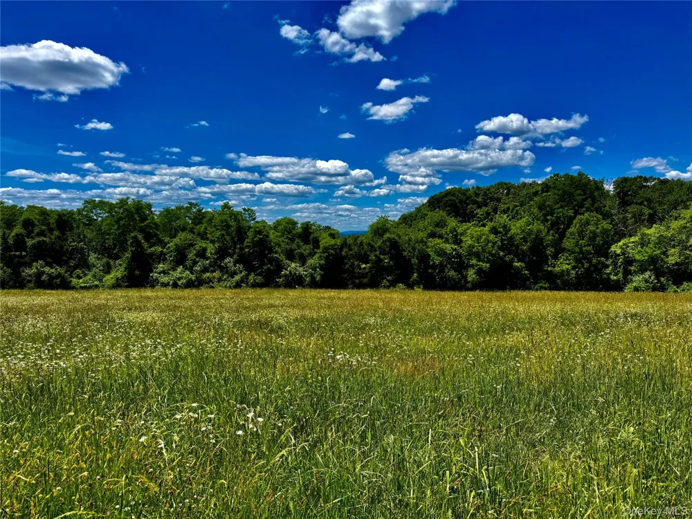 513 Rossway Road Pleasant Valley, NY 12569
