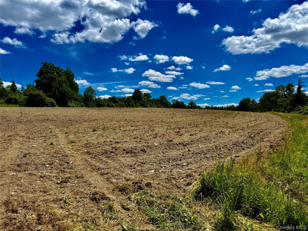 513 Rossway Road Pleasant Valley, NY 12569