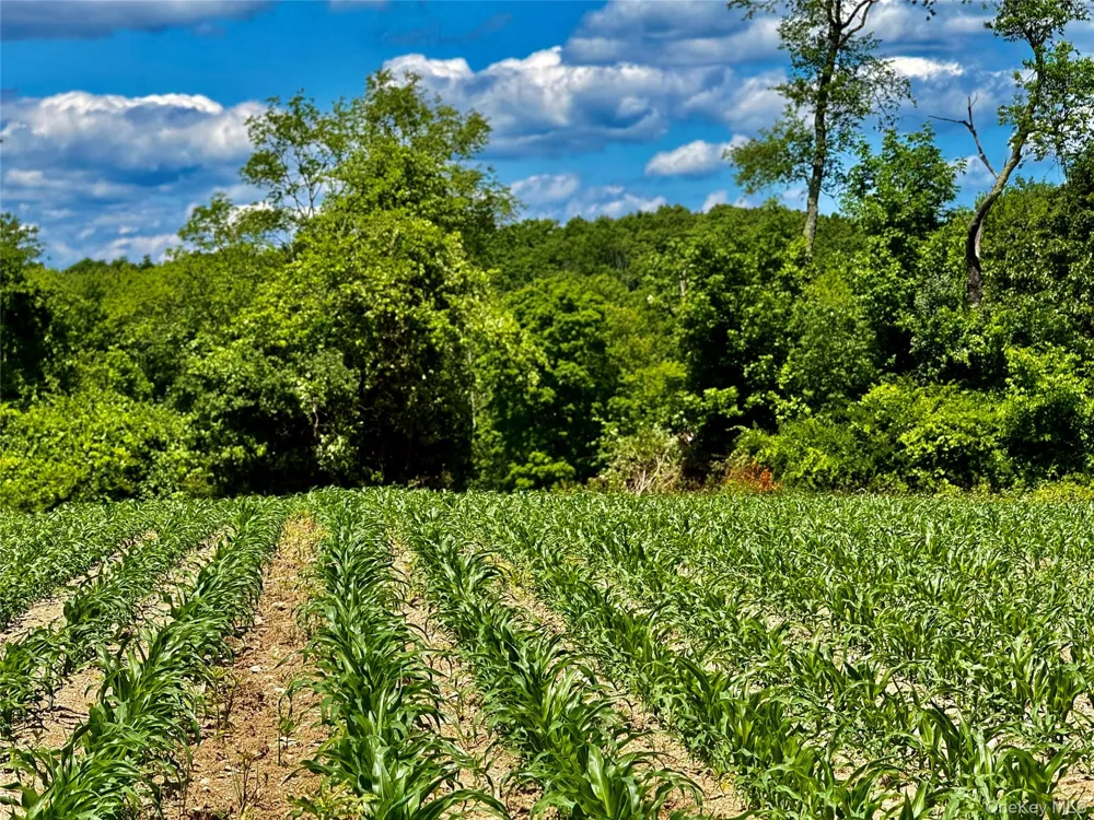 513 Rossway Road Pleasant Valley, NY 12569