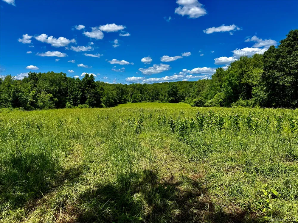 513 Rossway Road Pleasant Valley, NY 12569