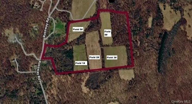 513 Rossway Road Pleasant Valley, NY 12569