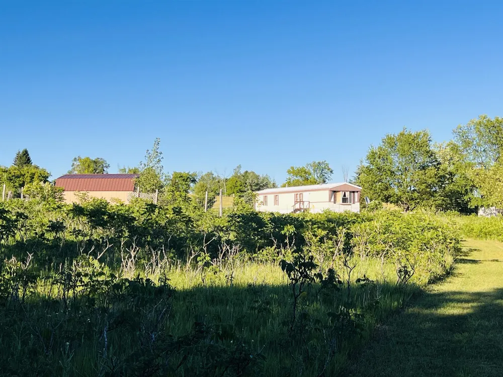 13845 70th Avenue Hartwick Township, MI 49631