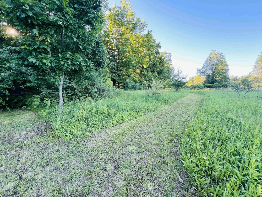 13845 70th Avenue Hartwick Township, MI 49631