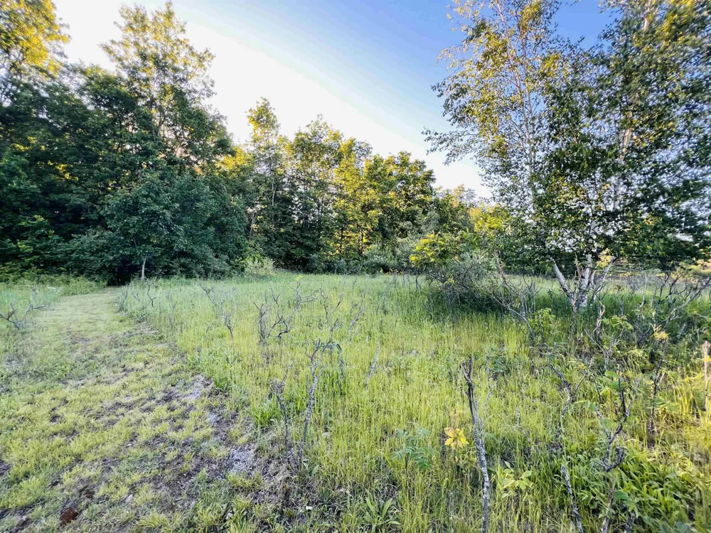 13845 70th Avenue Hartwick Township, MI 49631
