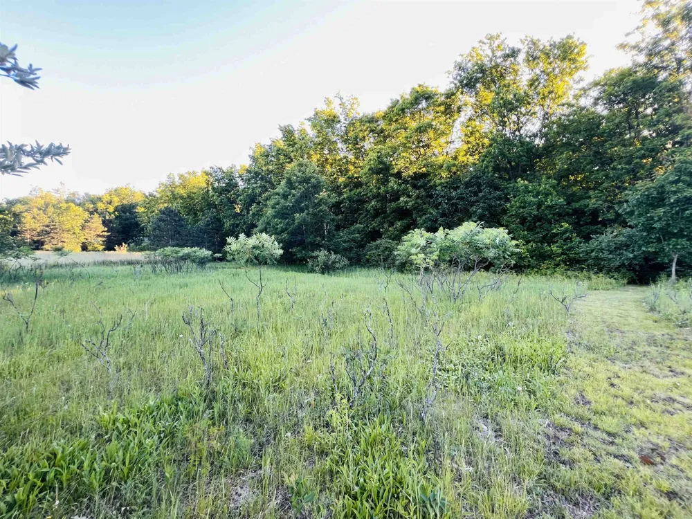 13845 70th Avenue Hartwick Township, MI 49631