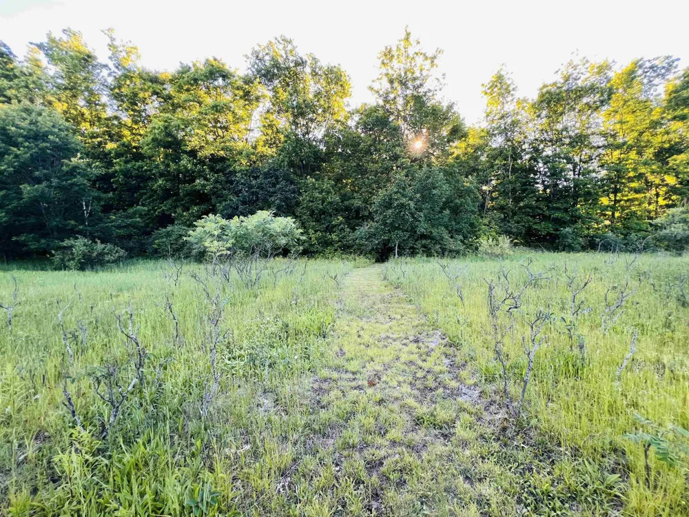 13845 70th Avenue Hartwick Township, MI 49631