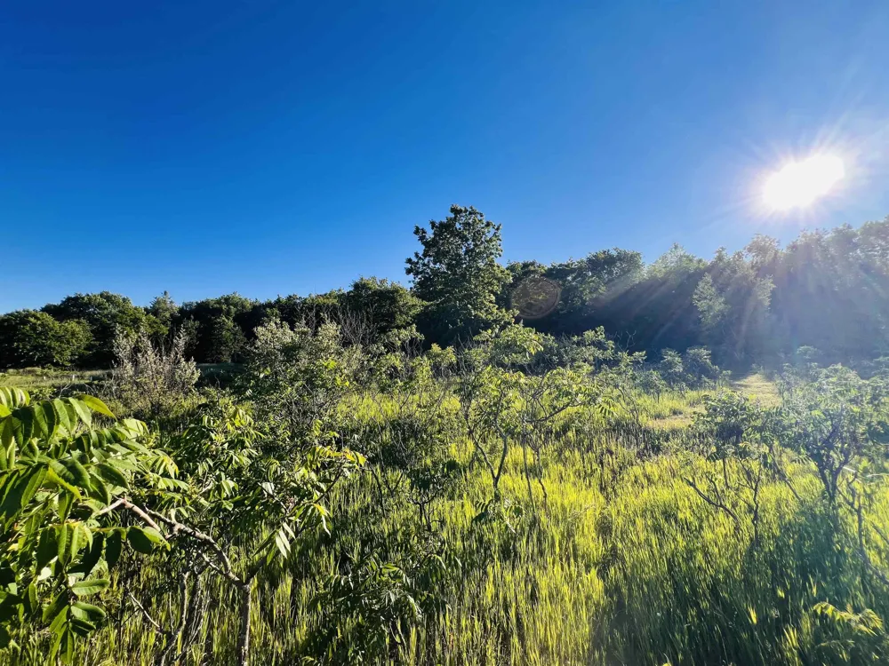 13845 70th Avenue Hartwick Township, MI 49631