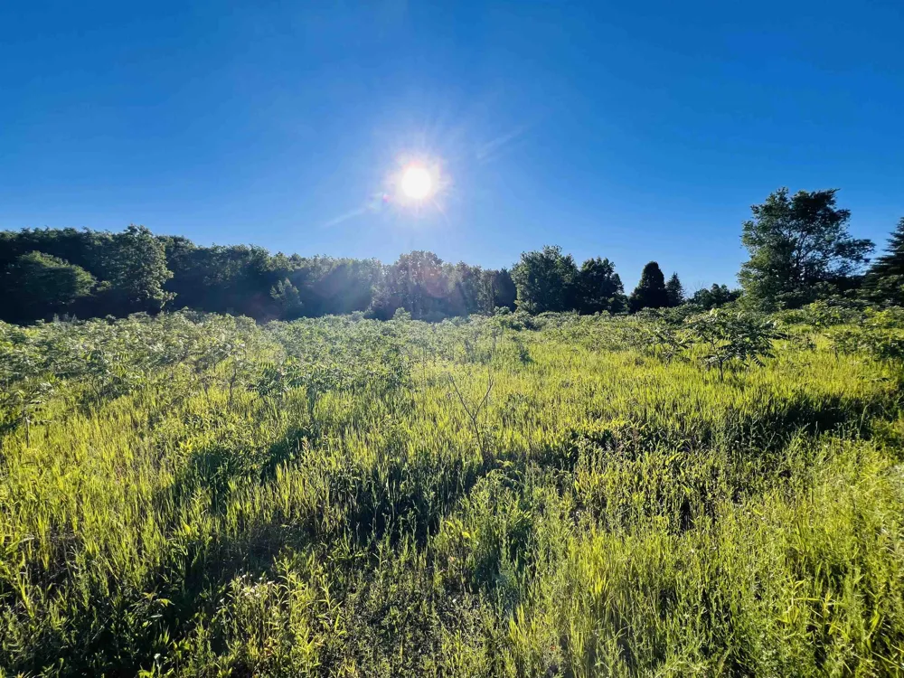 13845 70th Avenue Hartwick Township, MI 49631