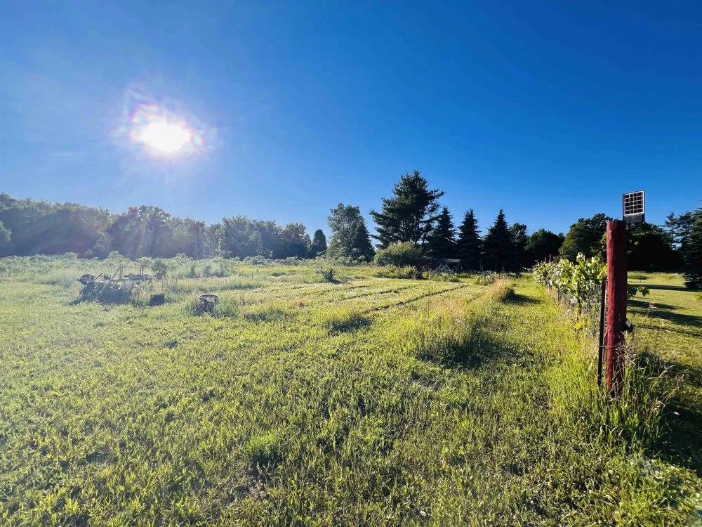 13845 70th Avenue Hartwick Township, MI 49631