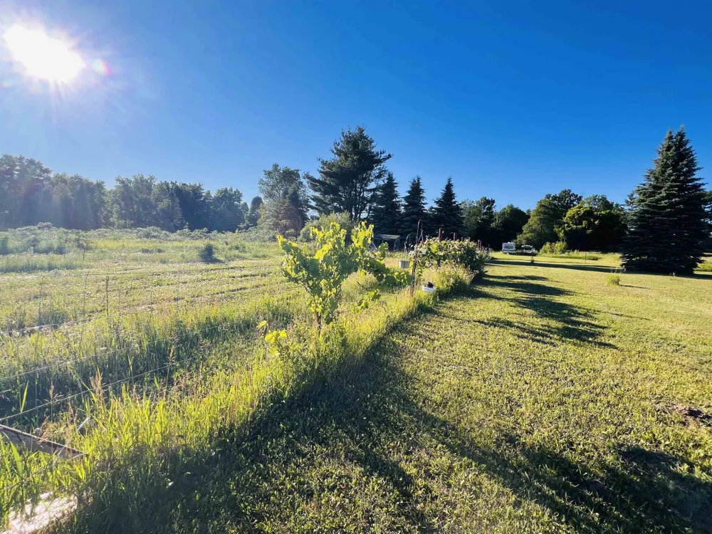 13845 70th Avenue Hartwick Township, MI 49631