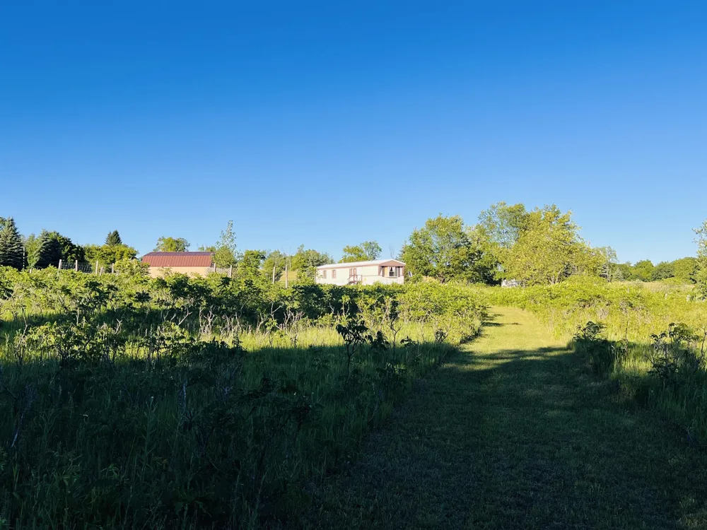 13845 70th Avenue Hartwick Township, MI 49631