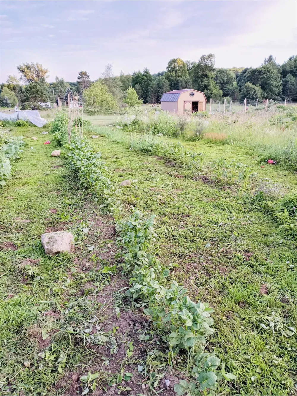 13845 70th Avenue Hartwick Township, MI 49631