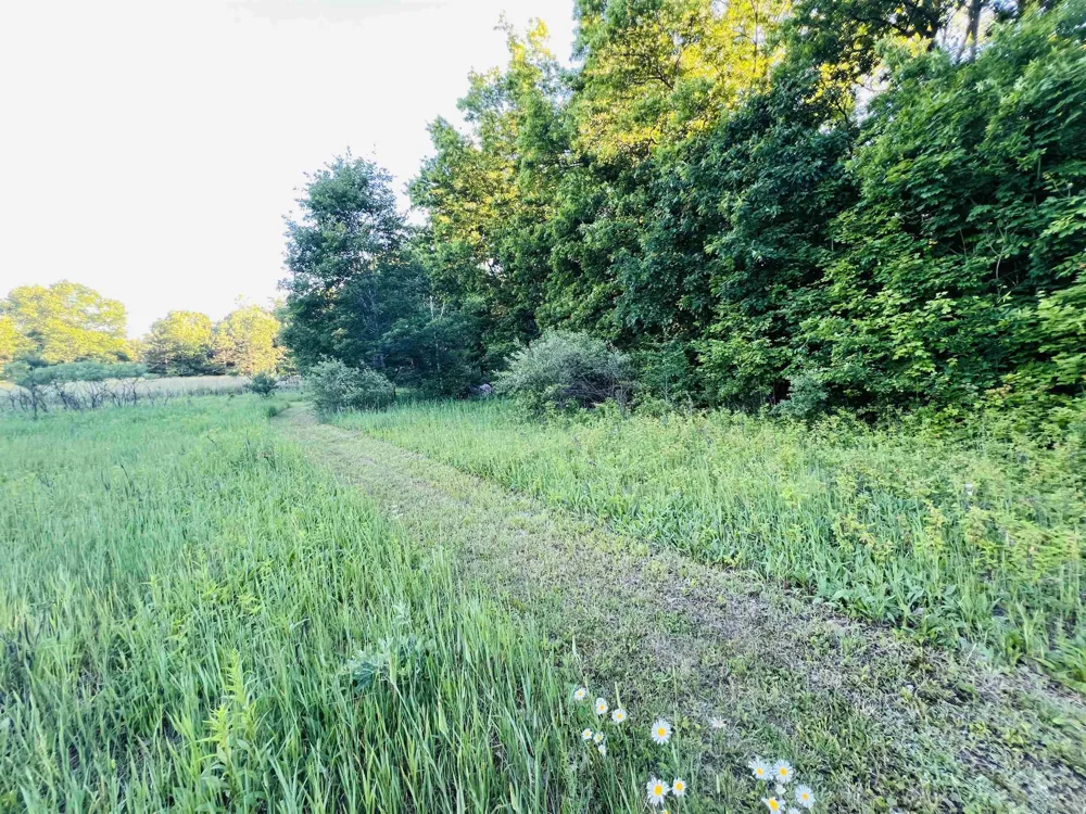 13845 70th Avenue Hartwick Township, MI 49631