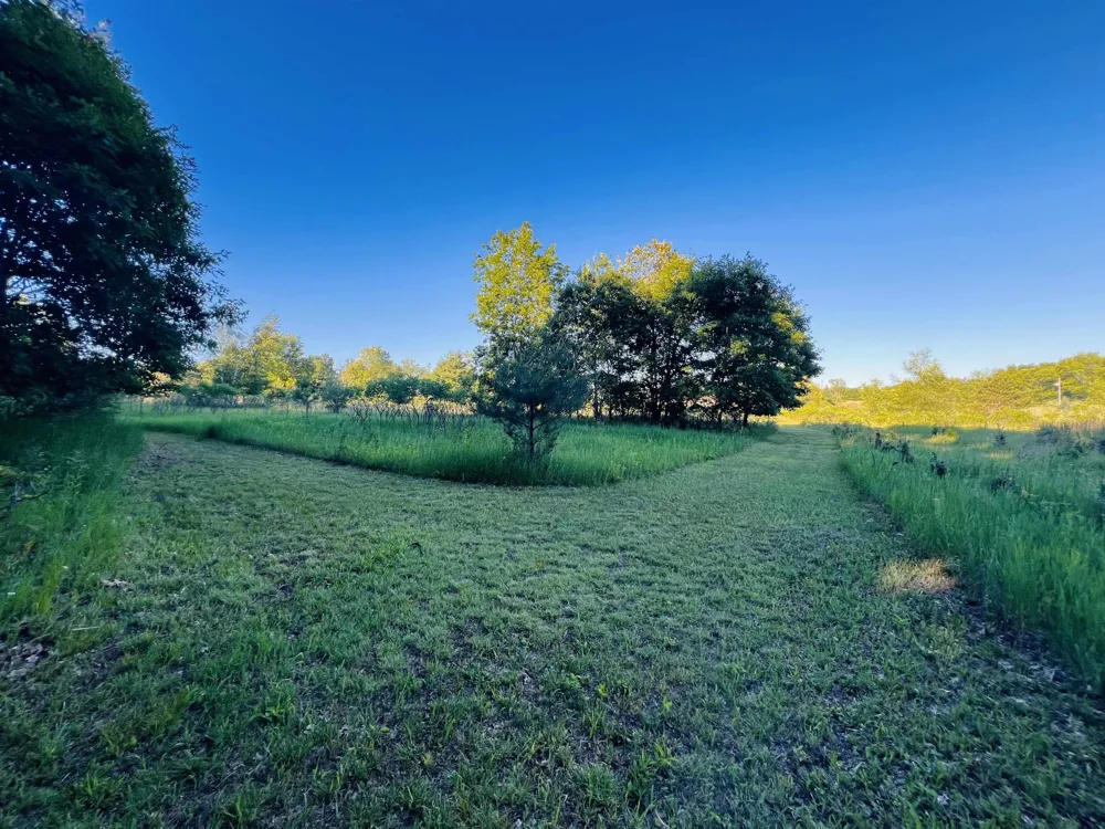 13845 70th Avenue Hartwick Township, MI 49631