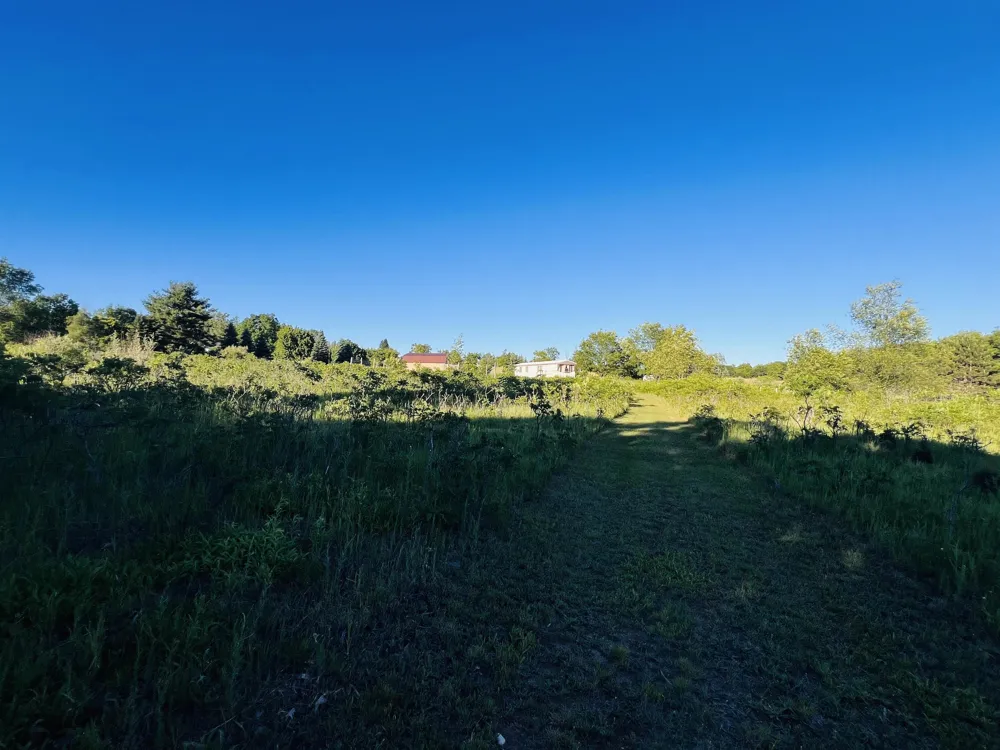 13845 70th Avenue Hartwick Township, MI 49631