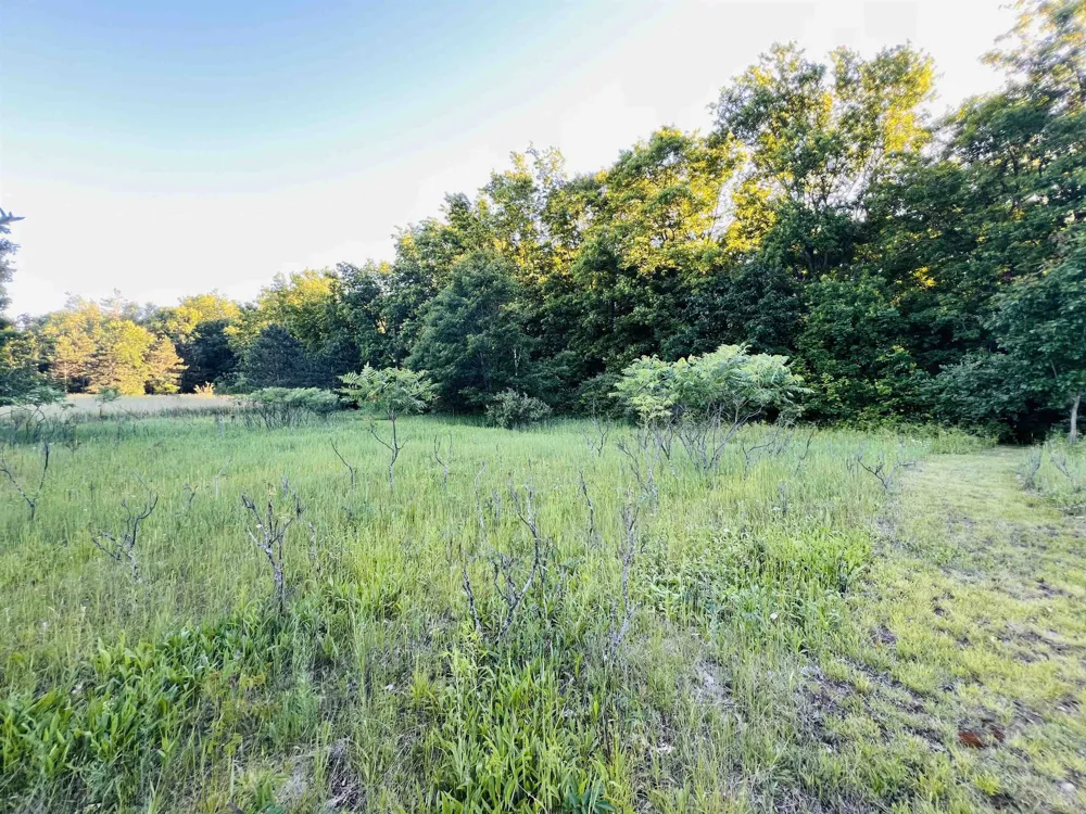13845 70th Avenue Hartwick Township, MI 49631