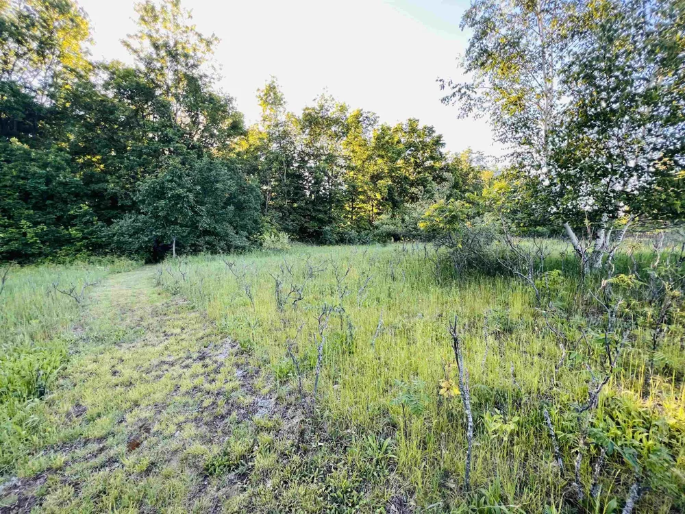 13845 70th Avenue Hartwick Township, MI 49631