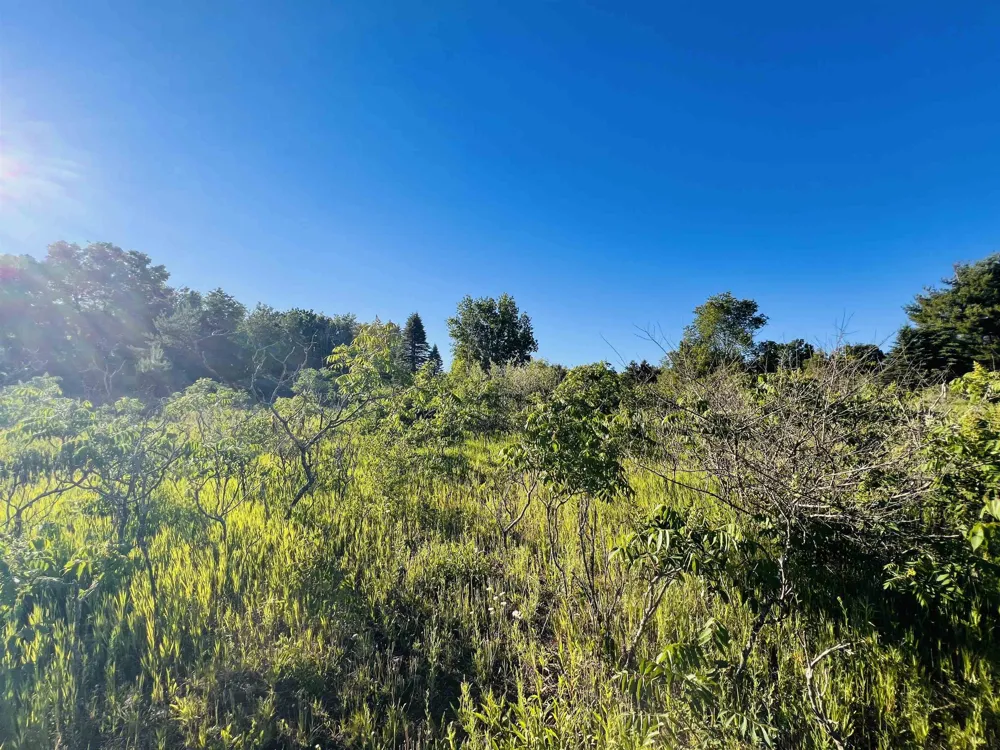 13845 70th Avenue Hartwick Township, MI 49631