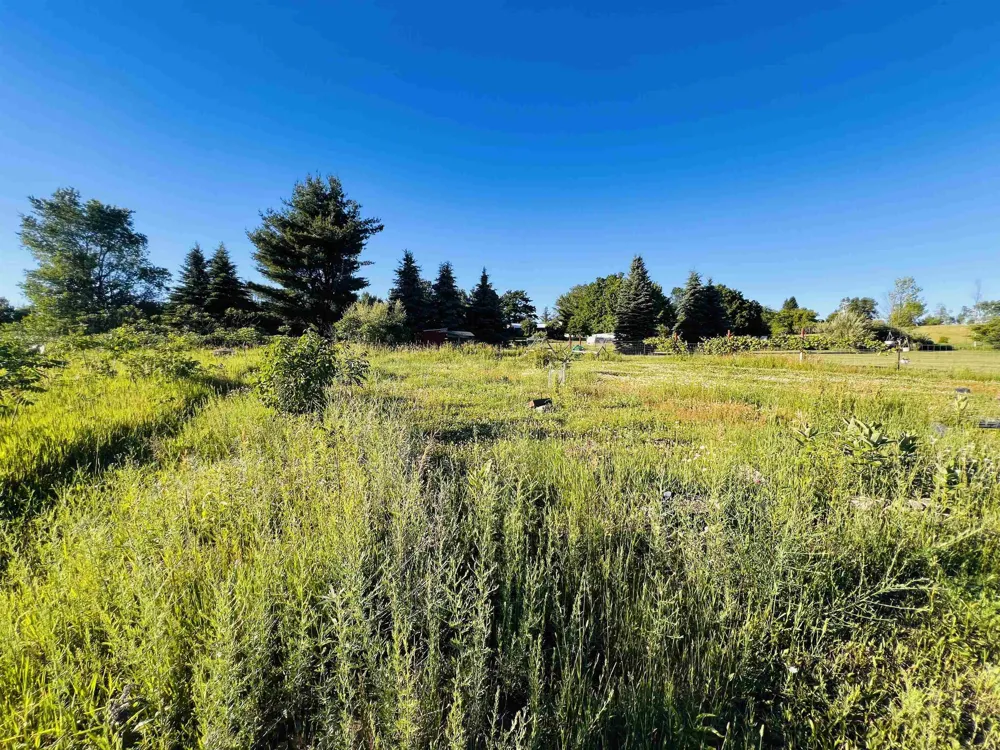 13845 70th Avenue Hartwick Township, MI 49631