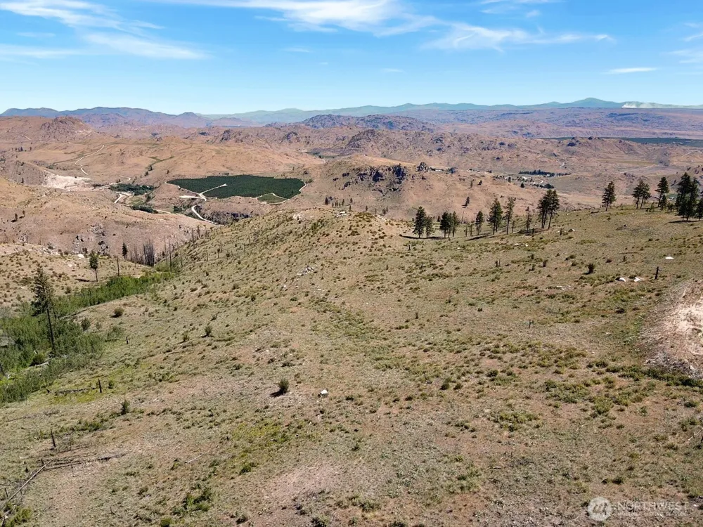53 E Mountain Point Brewster, WA 98812