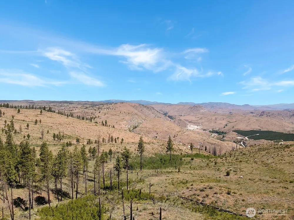 53 E Mountain Point Brewster, WA 98812