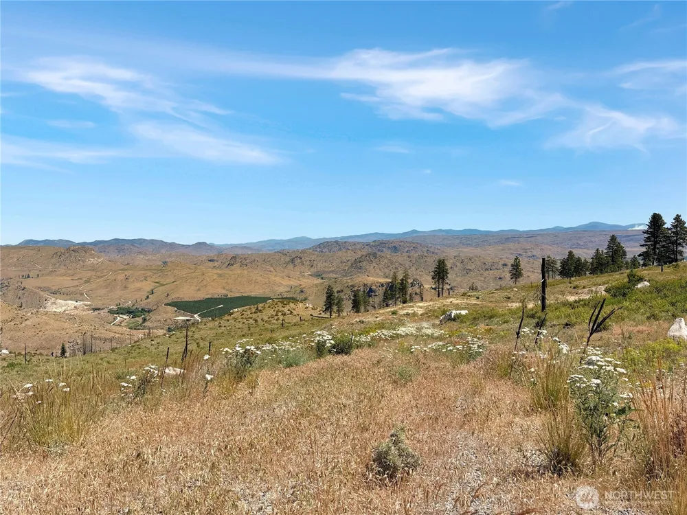53 E Mountain Point Brewster, WA 98812