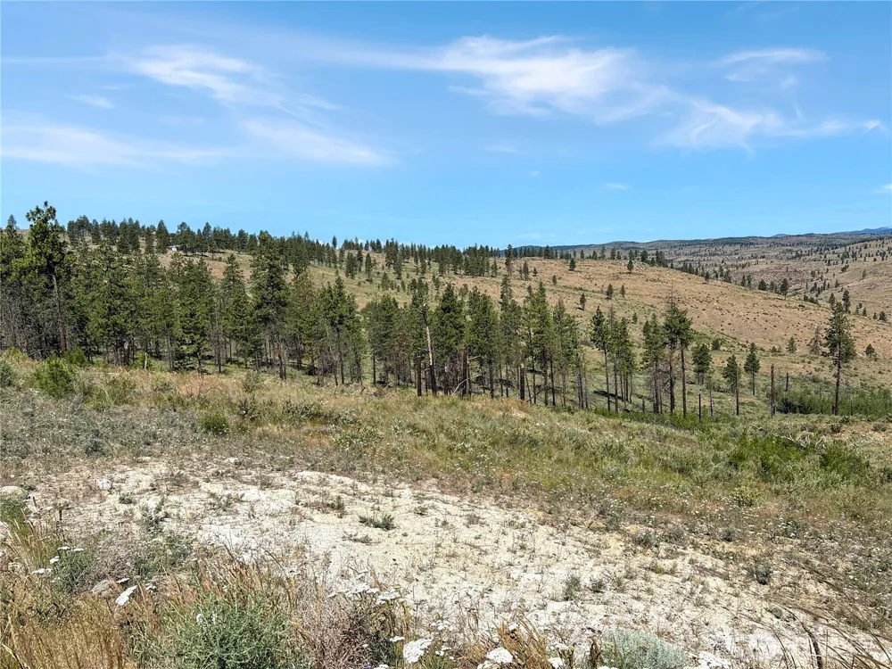 53 E Mountain Point Brewster, WA 98812