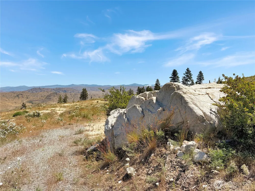 53 E Mountain Point Brewster, WA 98812