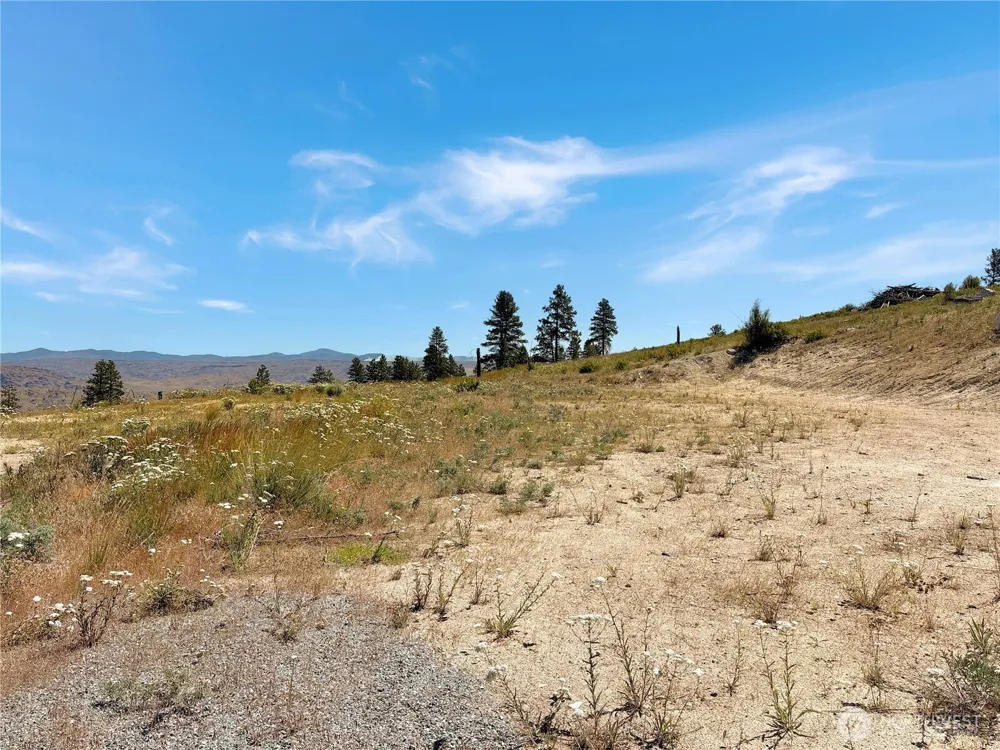 53 E Mountain Point Brewster, WA 98812