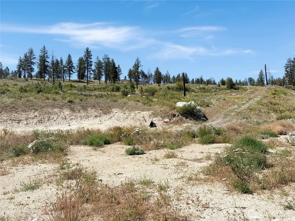 53 E Mountain Point Brewster, WA 98812