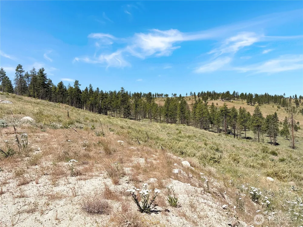 53 E Mountain Point Brewster, WA 98812