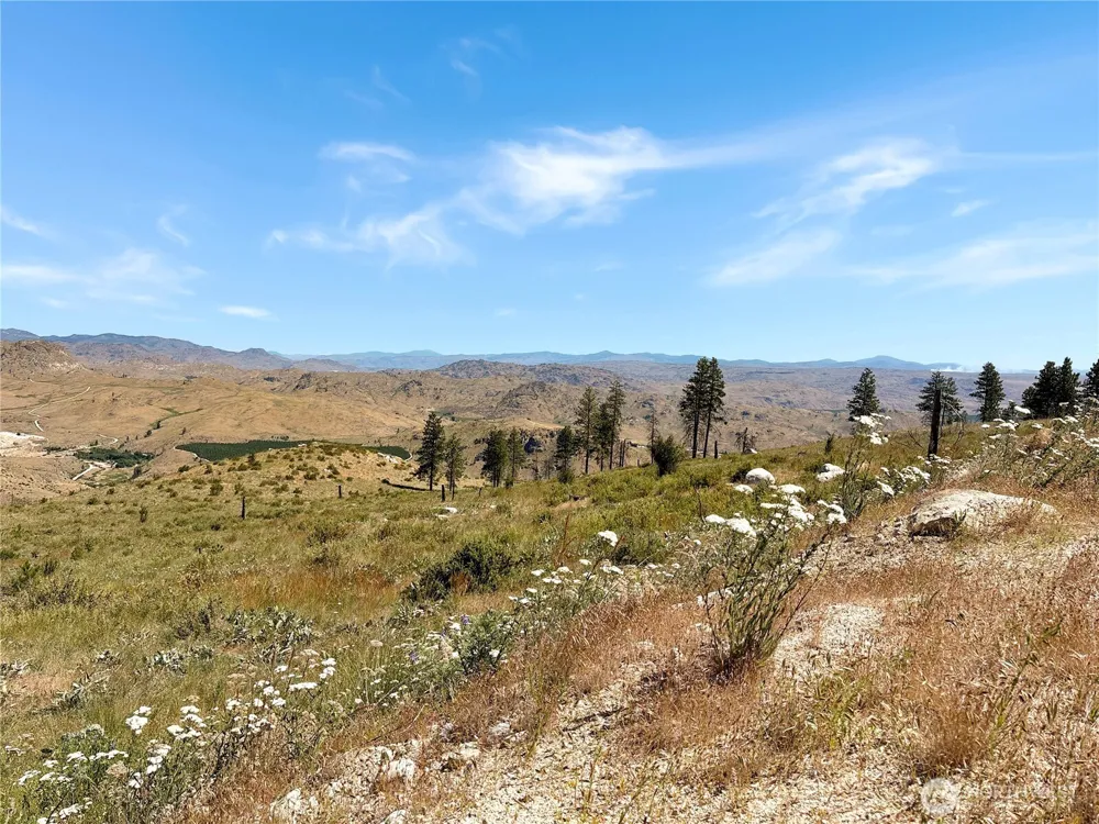 53 E Mountain Point Brewster, WA 98812