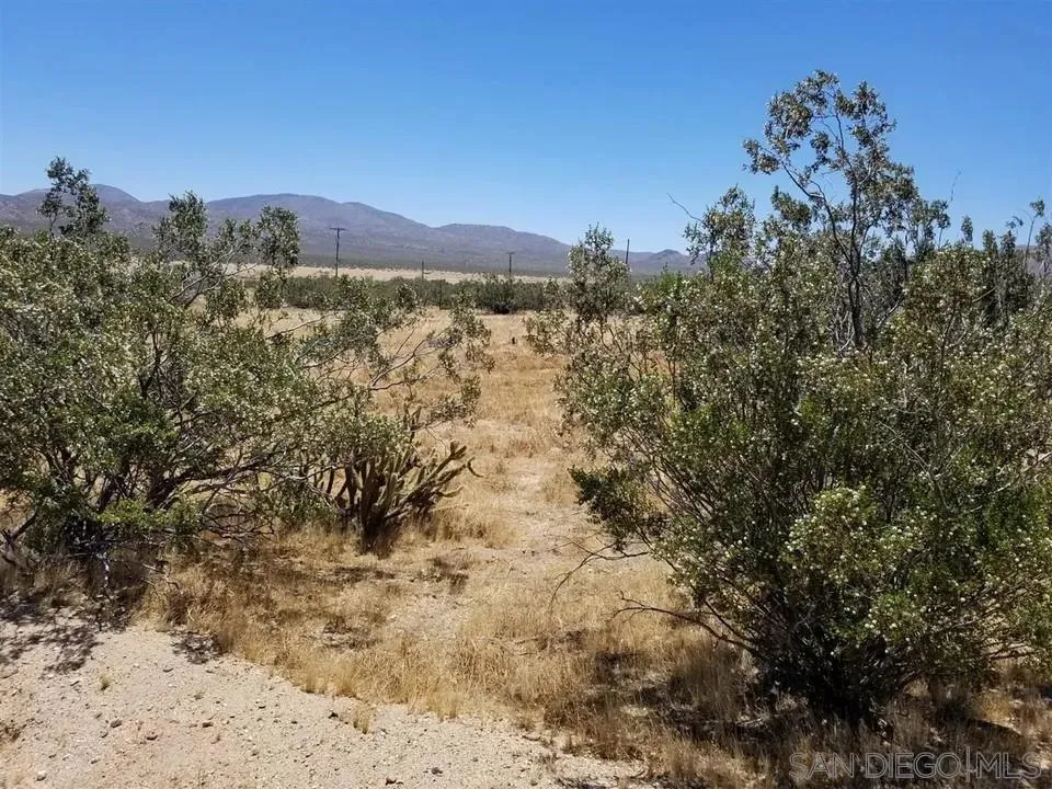 7438 Overland Stage Rd Julian, CA 92036