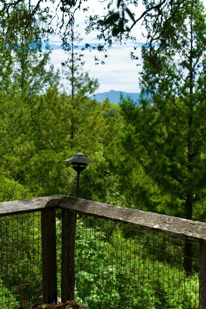 2346 Mill Creek Lane Healdsburg, CA 95448