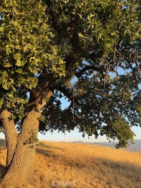 27251 Deertrail Tehachapi, CA 93561