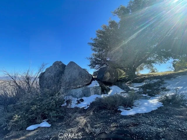 27251 Deertrail Tehachapi, CA 93561
