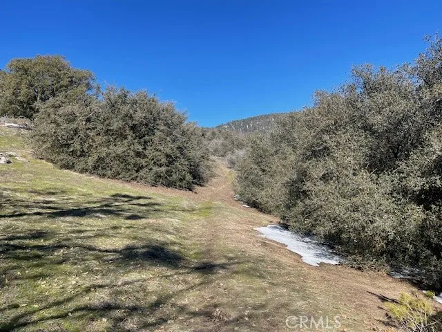 27251 Deertrail Tehachapi, CA 93561