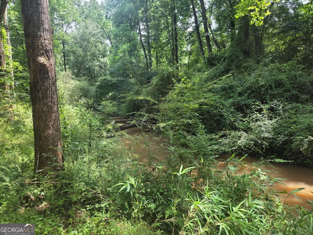 408 Bowen RD Milner, GA 30257