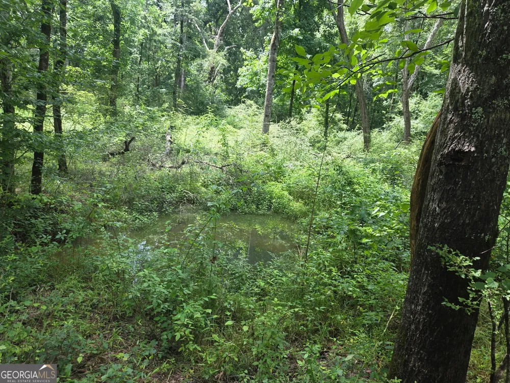 408 Bowen RD Milner, GA 30257