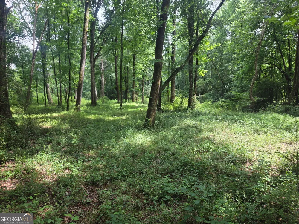 408 Bowen RD Milner, GA 30257