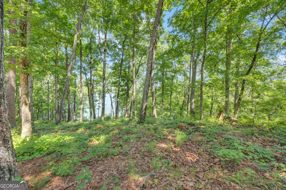 177 Nighthawk CT Monticello, GA 31064