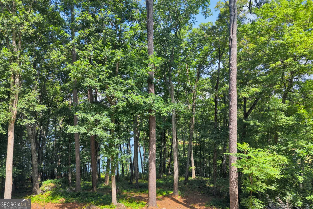 177 Nighthawk CT Monticello, GA 31064