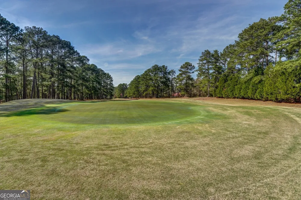177 Nighthawk CT Monticello, GA 31064