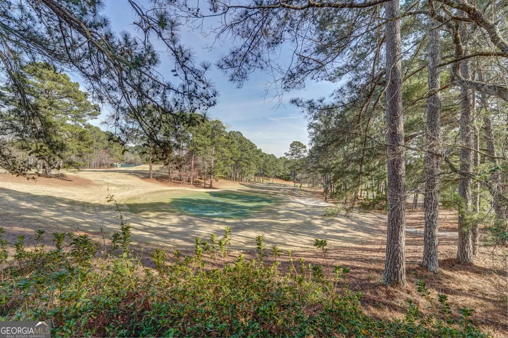 177 Nighthawk CT Monticello, GA 31064