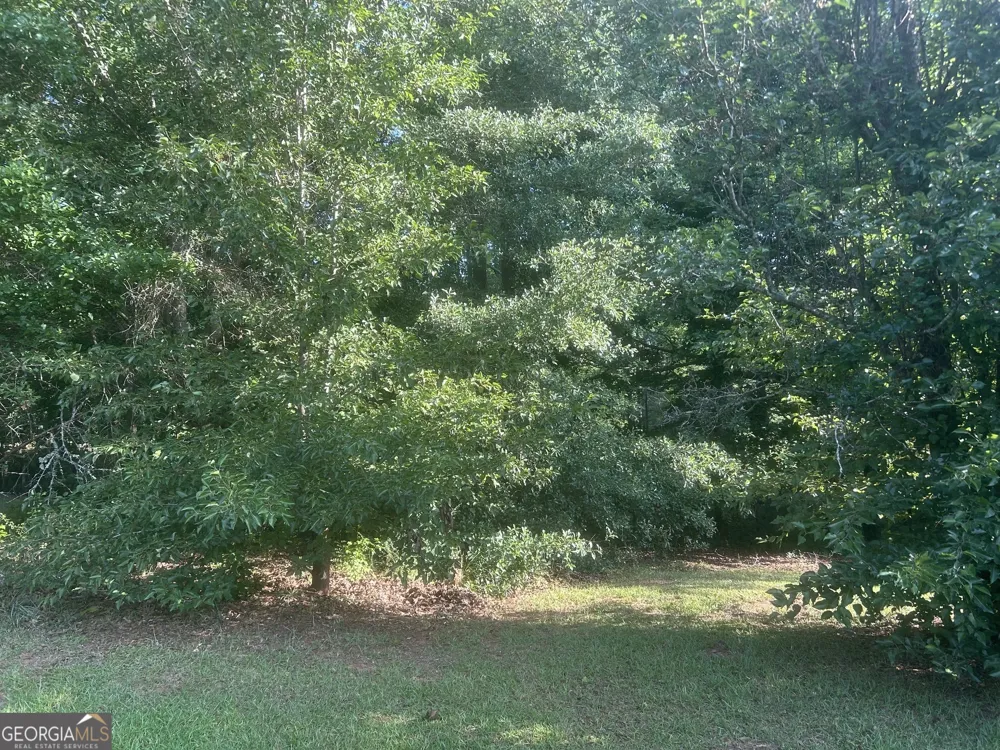 275 Fleeta DR Covington, GA 30016